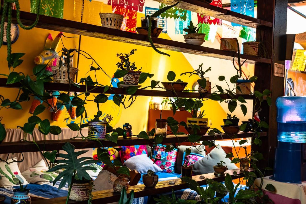 Hostal Pochon Oaxaca Экстерьер фото