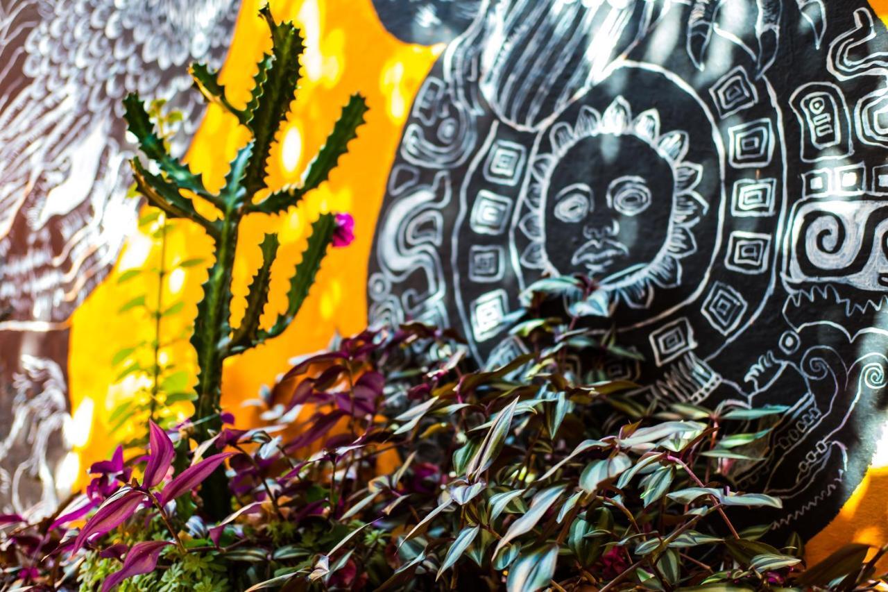 Hostal Pochon Oaxaca Экстерьер фото